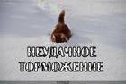 https://lolkot.ru/2010/08/15/neudachnoye-tormozheniye/