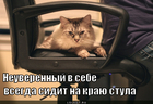 https://lolkot.ru/2012/06/04/neuverennyy-v-sebe/