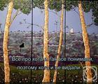 https://lolkot.ru/2024/05/09/nevidimaya-vidimost/