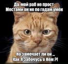 https://lolkot.ru/2024/08/24/nezamechatelnyy-prislug/