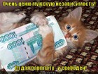 https://lolkot.ru/2012/07/19/nezavisimost/