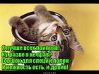 https://lolkot.ru/2016/02/16/nezhnaya-priprava/