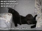 https://lolkot.ru/2011/06/06/ni-na-glavnoy/