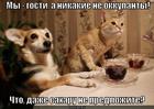 https://lolkot.ru/2013/01/10/nikakiye-ne-okkupanty/
