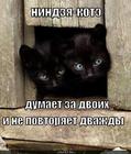 https://lolkot.ru/2010/09/02/nindzya-kote-dumayet-za-dvoih/