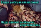 https://lolkot.ru/2012/12/07/no-priyehal-rybnadzor/