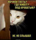 https://lolkot.ru/2012/06/18/nochnoy-gost/