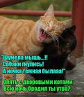 https://lolkot.ru/2016/04/04/nochnyye-brodilki/