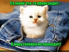 https://lolkot.ru/2016/01/04/norka-popravilas/