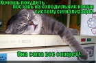 https://lolkot.ru/2012/07/30/novaya-sistema-signalizatsii/