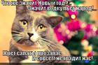 https://lolkot.ru/2012/12/27/novyy-god-3/