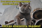 https://lolkot.ru/2011/11/09/novyye-kolonki/