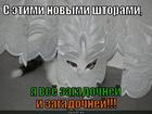 https://lolkot.ru/2013/06/24/novyye-shtory/