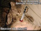 https://lolkot.ru/2012/10/18/nu-che-leopold/