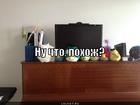 https://lolkot.ru/2012/10/16/nu-chto-pohozh/