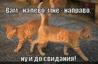 https://lolkot.ru/2012/09/18/nu-i-do-svidaniya/