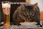 https://lolkot.ru/2011/03/15/nu-i-nu-shou/