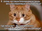 https://lolkot.ru/2013/05/08/nu-ochen-vku-strannyy-popugay/
