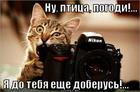 https://lolkot.ru/2012/10/17/nu-pogodi/