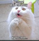 https://lolkot.ru/2013/01/08/nu-pozyayaya/