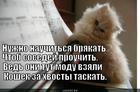 https://lolkot.ru/2013/12/26/nuzhno-nauchitsya-bryakat/