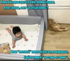 https://lolkot.ru/2017/07/07/nyan-otvyan/