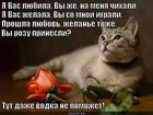 https://lolkot.ru/2013/02/11/nyuhnite-rozu/
