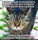 https://lolkot.ru/2012/08/17/o-myshinoy-neprikosnovennosti/