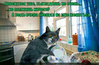 https://lolkot.ru/2012/02/22/obeschal-zhenitsya-3/
