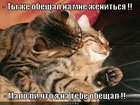 https://lolkot.ru/2011/12/09/obeschal-zhenitsya-2/