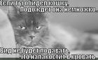 https://lolkot.ru/2013/04/04/obidel-koshku/