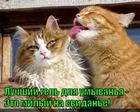 https://lolkot.ru/2015/06/09/oblizatelnyy-muzhchina/