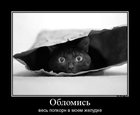 https://lolkot.ru/2012/08/14/oblomis/
