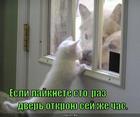 https://lolkot.ru/2013/02/06/obmanschitsa/