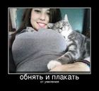 https://lolkot.ru/2011/10/19/obnyat-i-plakat/