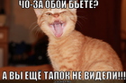 https://lolkot.ru/2012/08/16/oboi-byote/