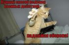 https://lolkot.ru/2012/09/11/oborona/