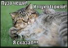 https://lolkot.ru/2012/10/04/obsluzhi/