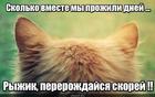 https://lolkot.ru/2024/09/18/obyazatelnoye-vozvrascheniye/