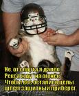https://lolkot.ru/2014/12/18/ochen-groznyy-zveryok/