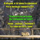 https://lolkot.ru/2016/03/29/ochevidnyye-zagadki/