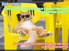https://lolkot.ru/2015/04/29/ochki-2/