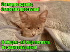 https://lolkot.ru/2016/05/24/odeyalnaya-utrennyaya/
