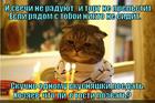 https://lolkot.ru/2014/12/27/odin-doma-6/
