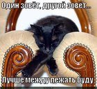 https://lolkot.ru/2011/03/02/odin-zovyot-drugoy-zovyot/