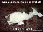 https://lolkot.ru/2012/01/26/odna-iz-zadach-kote/