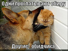https://lolkot.ru/2011/12/09/odni-proglatyvayut-obidu/