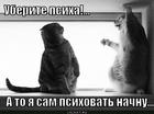 https://lolkot.ru/2013/08/28/odni-psihi-krugom/