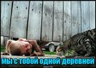 https://lolkot.ru/2025/02/16/odnoderevchane/