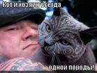 https://lolkot.ru/2012/11/09/odnoy-porody/